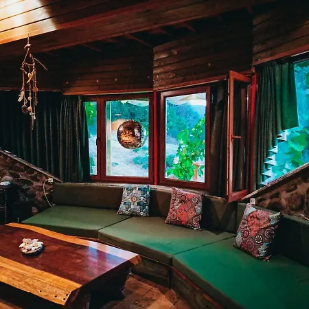 Enchanting House With Backyard